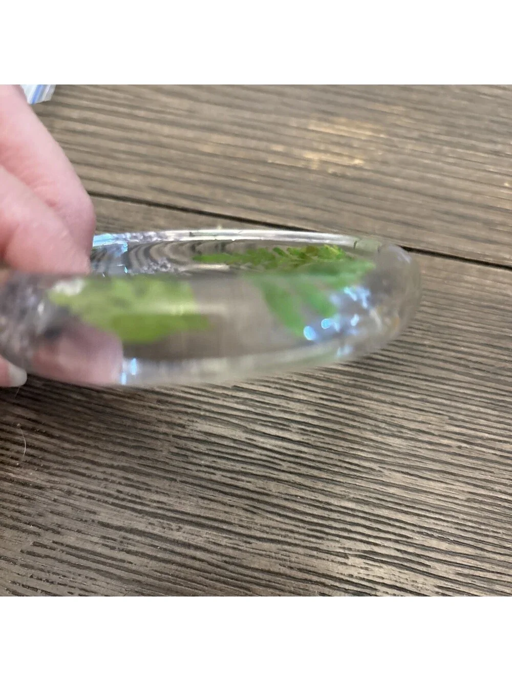 Beautiful Floral Translucent Bangles Served 3